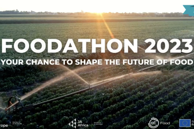 Screen Shot 2023-12-08 at 11.56.30